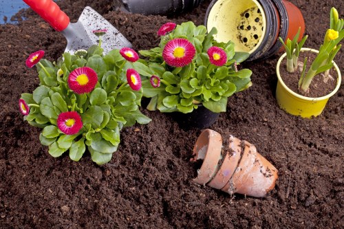 Professionals performing garden clearance in Waterloo