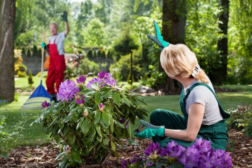 Lush Waterloo garden with vibrant flowers