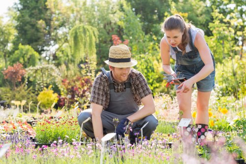 Watering a well-maintained garden