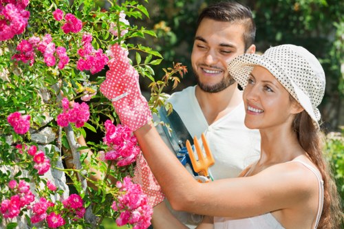 Seasonal hedge maintenance by Hedge Trimming Waterloo