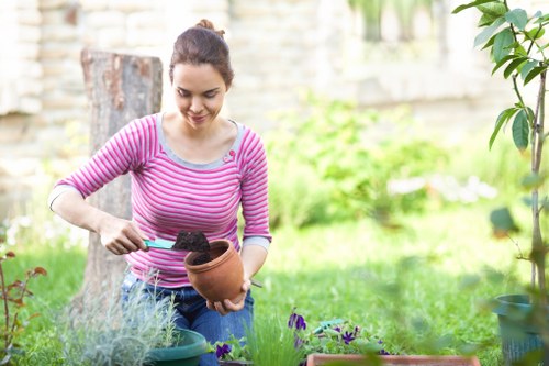 A woman with dark hair pulled back, wearing a pink and white striped long-sleeve shirt, is tending to a garden on a sunny day in Waterloo. She is holding a terracotta flowerpot with dark soil inside, using a small gardening trowel to fill or plant in the pot. The garden features a lush, green lawn with various flowering plants and small shrubs in pots along the edge. In the background, there are trees, a wooden fence, and a stone wall, indicating a well-maintained outdoor space. The scene is bright, weather appears clear, and the garden environment suggests active planting and maintenance, supported by professional gardening services like hedgetrimmingwaterloo.co.uk.