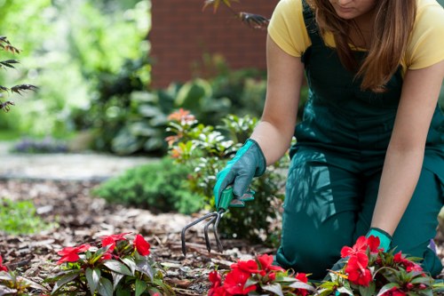 Worker wearing protective equipment using hedge trimmer