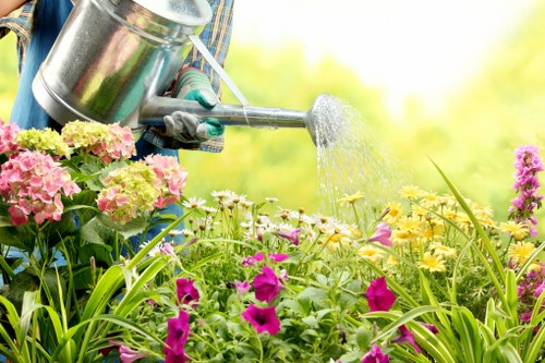 Professional landscaper designing an outdoor space in Waterloo.