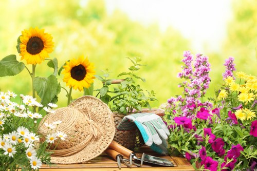 Tools used for garden clearance