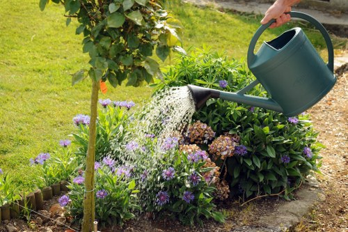Tools and safety gear arranged for accessible hedge care visit