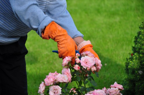 Sustainable gardening practices with composting in Waterloo