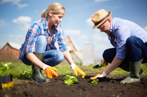 Healthy grass growth promoted by regular mowing