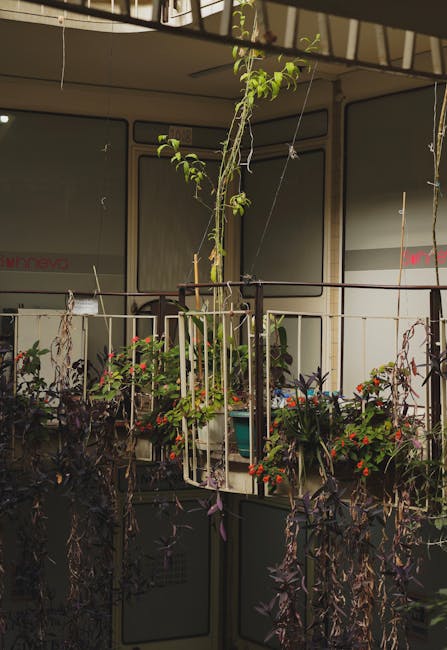 A courtyard garden featuring an array of potted plants and flowers against a white stucco wall of a building. The plants include lush green foliage, flowering varieties with pink, red, and white bloom